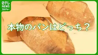 『どっち？展』　“実物”とリアルな“木彫り作品”をクイズ形式で展示　来場者は「だまされた」と驚き　#キボリノコンノ