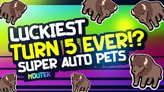 Luckiest Turn 5 Ever!? Noutek | Super Auto Pets