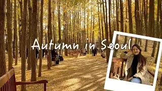 Autumn in Seoul🍁/ 서울숲