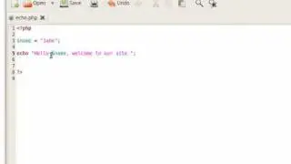 PHP Tutorial - Using the 'echo' Statement  for Beginners