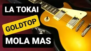 🤩 &iexcl;TOKAI GOLDTOP! 🤩 &iquest;LA PREFIERES? - Guitarra Les Paul calidad precio Review Espa&ntilde;ol
