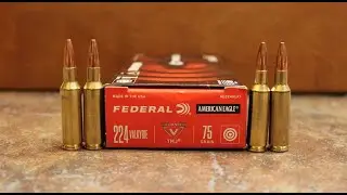 224 Valkyrie Cartridge Полный профиль | 223 против 224 Valkyrie против 22 Nosler
