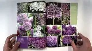 Gartenteich 4 2011 - 1080p - Das Wassergarten Magazin - Schlammhexe zu gewinnen!
