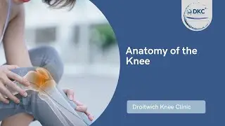 Unlock the Mystery of How the Human Knee Works!
