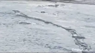 Iceland's 'Loch Ness' monster spotted?