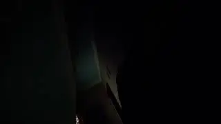 14 февраля 2024 г.