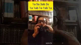 Chroma-Tips #chromaticharmonica #argentina #harmonicalessons #harmonica #hohner