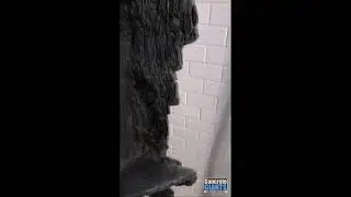 Bathroom Remodel BEFORE & AFTER (Artificial Rock)