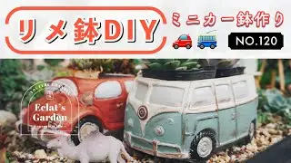 NO.120【多肉植物】秋の寄せ植えのために、ミニカー鉢作りませんか？🚗