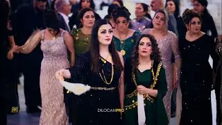 Delil Sileman / Younes & Shane / Ross Deko /Part04/#DilocanPro #Hochzeit #Wedding #Kurdish #Dilocan