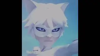 Love them #viral #edit #miraculous #catblanc #catnoir #clawnoir #shorts #fyp #ladybugandcatnoir