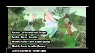 Dhaanto Filsan iga fogaa by Ali Bashir (Ali dhaanto)