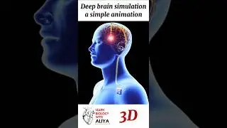 Deep brain simulation- a simple animation | #3d #short | learn Biology with Aliya