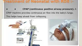 HIGH RISK NEONATES part 1  محاضرة نظرى مادة تمريض الاطفال د راويه عبدالغنى الفرقة الثالثة 14/11/2020