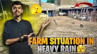 Farm situation after heavy flood 😧|| 21 new entries 
