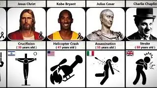 How Popular People Died | Age, Cause & Timeline #viral #famous #trending #datacomparison #youtube 