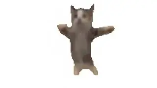Shni Shna Shnapi dogekirill