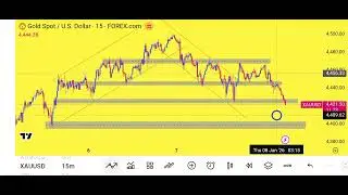 XAUUSD GOLD Price Prediction For Today GOLD Analysis Simple Analysis Daily Forecast