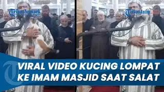 Bukannya Diusir Malah Dielus, Viral Video Kucing Lompat ke Pundak Imam Masjid saat Salat Tarawih