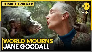 World Mourns Jane Goodall: Conservation Icon Dies At 91 | WION Climate Tracker
