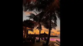 talinwya oodaredevil kelewya mingo surf type beat -  heart [p.jpxfred]