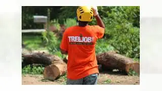 Roswell Tree Removal