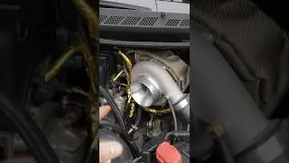 Это мой Honda Civic Si 8-го поколения Turbo 🐌 #шорты #honda #civic #carguy #turbo