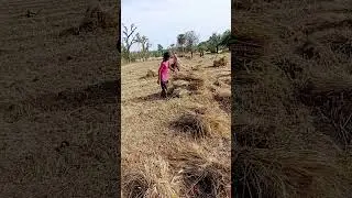 #techkishan #nature #kishan #badboy #viralvideo #song #technicalkishan #dog #badboystyle #hindi