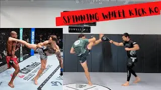 Spinning Wheel Kick KO