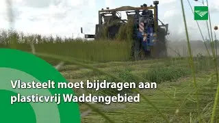 Vlasteelt moet bijdragen aan plasticvrij Waddengebied