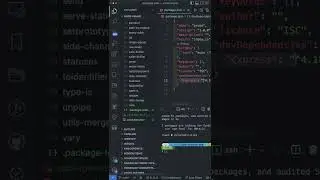 Npm prune command