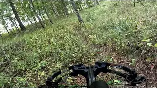 Scouting Georgia WMA hunting deer