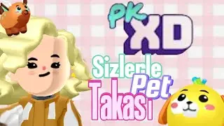 PK XD SİZLERLE değerli Pet takası, yaptım ! BAKIMLI KÖPEĞİM OLDU,! #pkxduniverse #pkxd #keşfet
