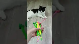 Cats ❤🐱 Reverse video 😍 Marbles Cubes Beads