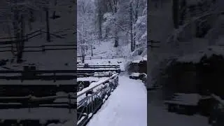 Winter wonderland in snow #snow #monschau #germany #winter #beautifulnature #nature #beauty