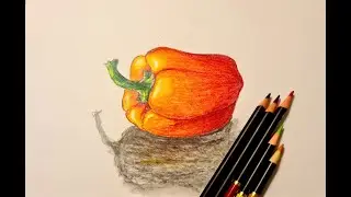 #capsicum# bell pepper#sketch#colour pencil#3D#kidstutorials#beginners  - Sonil Arts