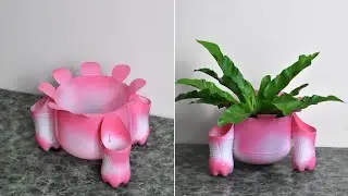 DIY Creative Design Planter | Plastic Bottle Plant Ideas