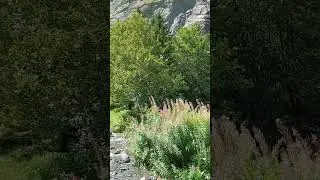 M&uuml;rrenbach Fall