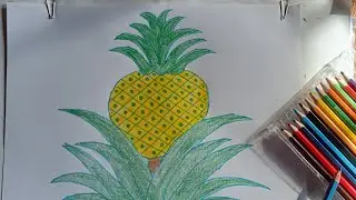 Ripe Pineapple Drawing by Rural Teachers