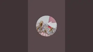 Sorya Yadav is live