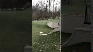 Derby's Pet Fence Stops Deer Chase