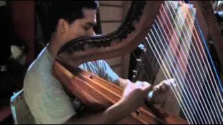 2 Hugo Jamarillo - 946098464 Arpista Harpist Harfenist - Lima, Peru