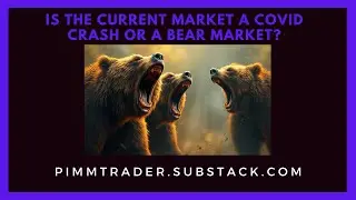 Is the Current Market a COVID Crash or a Bear Market?