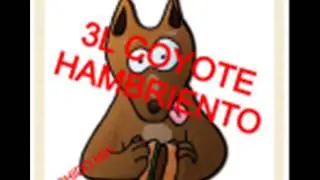 COYOTE HAMBRIENTO  CHIMALHUACAN