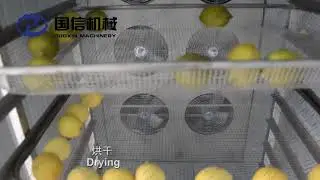 Guoxin Machinery black lemon drying machine