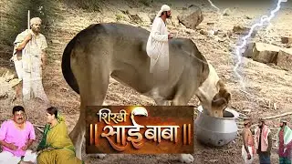 कुत्ते को चावल खिलाने से कैसे नंदलाल का पेट दर्द हुआ ठीक | Sai Chamatkaar @saibaba3350