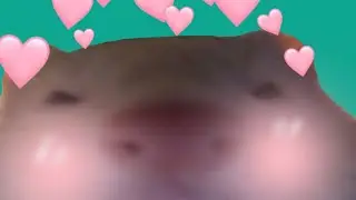 // niko nIk0 nI //😳🤙//aLeX :D//