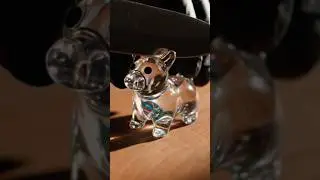 Glass dog ASMR gone wild 😳