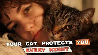15 Shockingly Sweet Ways Your Cat Protects You Every Night
