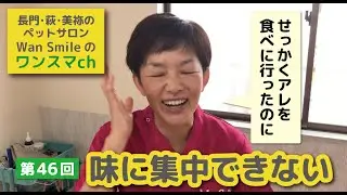 ワンスマチャンネル第46回『味に集中できない』　ハッピーライフサポート＆ペットサロンワンスマイル　長門市萩市美祢市